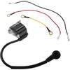 GTWSQQ 1 set di bobina accensione for STIHL 020 020T 021 023 025 MS210 MS230 MS250 Motosega Accessori for utensili elettrici da giardino