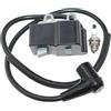 RLFNPHMHX Modulo di accensione for E/c/h/o B/a/c/k/p/a/c//k B/l/o/w/e/r PB-500T (nuova versione) A411001460