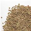 Il Contadino - Antichi Sapori LENTICCHIE ESTON | Il Contadino | Legumi Secchi (400g)