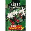 Floriana-Bulbose Semi - Caffè (Coffea arabica)