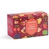 Generico Infusi di Frutta selezione bio - 8056479388950