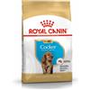 ROYAL CANIN 4X Royal Canin Cocker Puppy Hondenvoer 3 kg