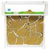 AntHouse - Formicaio T 3D 25x20x1,5 cm | Fattoria di Formiche Bianco | Formiche Incluse con Regina