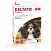 Livisto Deltatic Mini Collare antiparassitario per cani di piccola taglia, Formato 35 cm (2 collari in ogni confezione)
