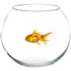 Generico Ampolla Boccia In Vetro Trasparente 30 Cm Acquario Per Pesci Centrotavola