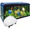 OISE ART STORE Trade Shop - Pompa Aria Areatore Aeratore per da Acquario Pesci 6,6 L/m Esterna 3.5 W Ap-8804