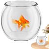 Generic Betta Fish Aquarium - acquario trasparente, ciotola compatta | Habitat decorativo per pesci da tavolo, arredamento moderno per la casa, contenitore per animali acquatici per scrivania, ufficio