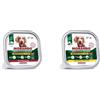 Generico scatolette da 150 gr 12 pz CANE Bocconcini TRE gusti misti uno in salsa con POLLO, Pomodori e Fagiolini ed in salsa con Manzo E SUINO, CAROTE, PATATE tradizioni italiane morando