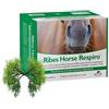 NBF Ribes Horse RESPIRO 10 Buste da 25 ml cad.