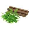Neem Datun 15 bastoncini da masticare di Neem Datun orale a base di erbe per denti e pulisci lingua