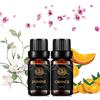 Aphrosmile Rose olio essenziale Set per diffusore, 100% puro Jasmine essenziale Profumo Olio Kit, 3x10ml aromaterapia Sandalo Fragranza olio essenziale Set-Gelsomino sandalo Rose Scent Oli Set