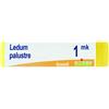 BOIRON Srl LEDUM PALUSTRE BOI*1MK GL 1G