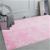 GOUSANG Tappeto Camera da Letto 60 x 100 cm Antiscivolo Fondo Tappeto Salotto Moderno Shaggy a Pelo Lungo Minimalista per La Camera da Letto, Rosa Chiaro
