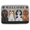 Bioonce Zerbini di benvenuto Cavalier King Charles Spaniel per ingresso interno esterno zerbino ingresso tappetini cucina bagno ingresso tappeti 45,7 x 76,2 cm