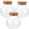 Gatuida 3 pezzi Bottiglie Ecologiche in Vetro Trasparente con in Sughero Barattoli Micro Paesaggio per Decorazioni Naturali e Terrariums Vasi Sferici Sigillati per Interni