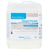 Berger-Seidle Aqua Seal Smarthome, vernice a base d'acqua, 5 litri, semitrasparente