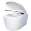 RD Luxury WC sospeso senza bordi, WC da parete in ceramica, 53 cm, risciacquo tornado a 360°, con sedile soft close con abbassamento automatico, rivestimento nano, isolamento acustico, set completo, bianco