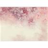 murando Carta da parati Floreale Fiori 500x350 cm Fotomurali in TNT Murale alla moda Decorazione da Muro XXL Poster Gigante Design Cameretta Carta per pareti Natura Pianta rose beige b-C-1026-a-b