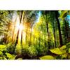 murando - Carta da parati 100x70 cm Fotomurali in TNT Murale alla moda Decorazione da Muro XXL Poster Gigante Design Soggiorno Cameretta Carta per Pareti Bosco Foresta Paesaggio Verde b-B-0248-a-a