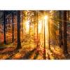 murando - Carta da parati 150x105 cm Fotomurali in TNT Murale alla moda Decorazione da Muro XXL Poster Gigante Design Cameretta Carta per pareti Camera da Letto Paesaggio Natura Foresta c-B-0162-a-b
