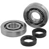 NTN KIT REVISIONE ALBERO MOTORE CUSCINETTI NTN GABBIA IN ACCIAIO E PARAOLI PIAGGIO ZIP SP GILERA RUNNER 50 100200312