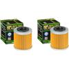 DB PARTS Set di due filtri olio compatibili con SWM 125 RS R CBS 2019