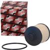 ASHIKA Filtro carburante 30-ECO040