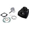 POLINI KIT GRUPPO TERMICO POLINI PER PEUGEOT 103-104-105-GL 10-SPX D.46 RACING