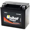 Generico YTX12-BS BATTERIA PRECARICATA compatibile con VESPA GTS 125 250 300 LXV LX 125 150 compatibile con Unibat YTX12BS
