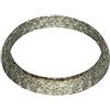 FA1 141-975 - Anello Tenuta, Tubo Gas Scarico