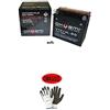 MOTO SPORT MONDO COMPATIBILE CON Harley Davidson XL Sportster-1200 2004-2014 BATTERIA GIA' PRONTA CARICA SIGILLATA OKYAMI YTX14L-BS BATTERIE ATTIVE 12 AH AMPERE 12 VOLT 150X87X146 MM