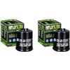 DB PARTS Set di 2 filtri olio compatibili con Aprilia 250 Scarabeo Light ie (VRB00) 2006 2007 2008 2009