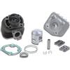 Malossi Kit cilindro Malossi Sport 70cc per CPI EURO II, Ø 47mm, perno da 12 mm