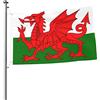 Oudrspo Welsh Dragon Flag Flag 2x3 FT Double-Sided Outside, Large Banner House Flag Yard Decorazione esterna