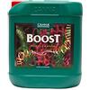 Canna Stimolante della Fioritura Canna Boost Accelerator (5L) - Fertilizzante per Fioritura