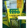 Fito Semi di fave precoci CLARO DE LUNA 1 kg
