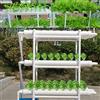 WSIKGHU Hydroponic Growing System Hydroponic System Grow Kit 108 Plant Sites 3 strati Verticale Costruzione Idroponica Impianto Vegetable Hydroponic Grow Kit Plant Sites Plant Vegetable Tool