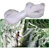 Songhp Rete Anti Piccioni da Balcone, Rete per Uccelli in Nylon da Giardino, Trasparente Rete Protettive Resistente per Frutteto Piscina Verdure Frutti (Size : 3m x 8m)