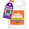 Pond Worx PondWorx Pond batteri - formulato per stagni di Grandi Dimensioni, Caratteristiche dell'Acqua e Sicuro per Koi - Arancia 1 gallone