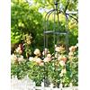 Generic Obelisco da giardino, gabbia rampicante per piante rampicanti e piante di rose, materiale resistente e professionale, resistente alle intemperie, decorazione superiore per uccelli, di grandi