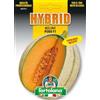 Generic Sementi ibride e selezioni speciali di alta qualità per la produzione di ortaggi nell'orto di famiglia (MELONE RETATO PEKO F.1, UNA BUSTA)