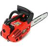 Castor MOTOSEGA POTARE CP300 BARRA CM25 25CC CASTOR