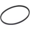 Briggs & Stratton Briggs and Stratton 7012508YP - Cinghia motore
