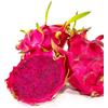 Generico Pianta di DRAGON FRUIT ROSSO 'Pitaya' Hylocereus Costaricensis in vaso - h.25/30 cm