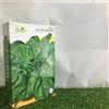 Premier Seeds Direct SPINACIO spinaci GIGANTE D'INVERNO GR 500 SEMENTI semi made in ITALY AMDGarden