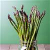 Generic semi di asparagi selvatici, Perenni resistenti, biologici rare 500pcs