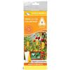 adama TEMO-O-CID 10 TRAPPOLE BIOLOGICHE ADESIVE CM.40X25 PER LA CATTURA DELLA MOSCA BIANCA ADAMA