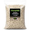 Clorophilla Pomice Universale 7-15 mm - Inerte Naturale per Piante - Substrato Drenante e Aerante - Uso per Vasi, Rinvaso e Coltivazione (2 Litri)