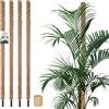 KOTARBAU® 4 pezzi Tutori per Piante - ⌀ 3,2 x 180 cm - Palo di Muschio per Monstera - Fibra di Cocco - Palo per Piante - Marrone - Stecche di Supporto - Bastone Fibra di Cocco