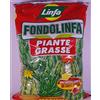 LINFA FONDOLINFA Piante GRASSE TERRICCIO Pronto all'Uso per Piante GRASSE E SUCCULENTE in Confezione da 10 Litri